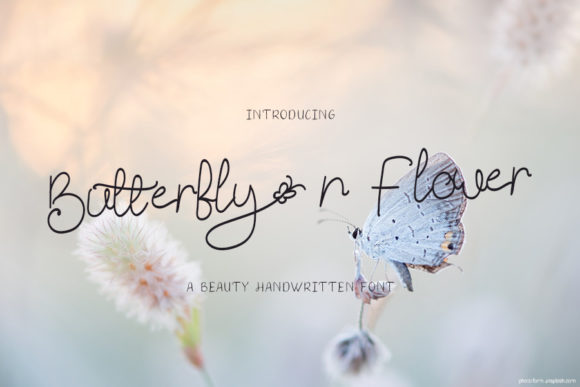 Butterfly N Flower Font: Elegant Script Design Review