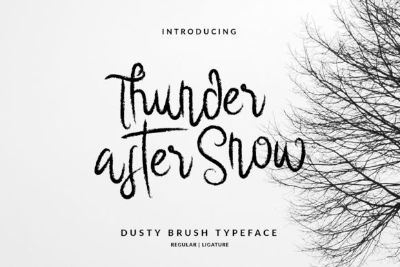 Thunder After Snow: A Playful Script Handwritten Font